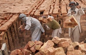 0be7512c-ac6c-4ac1-b3a8-9399ddfa7949_w974_n_s
